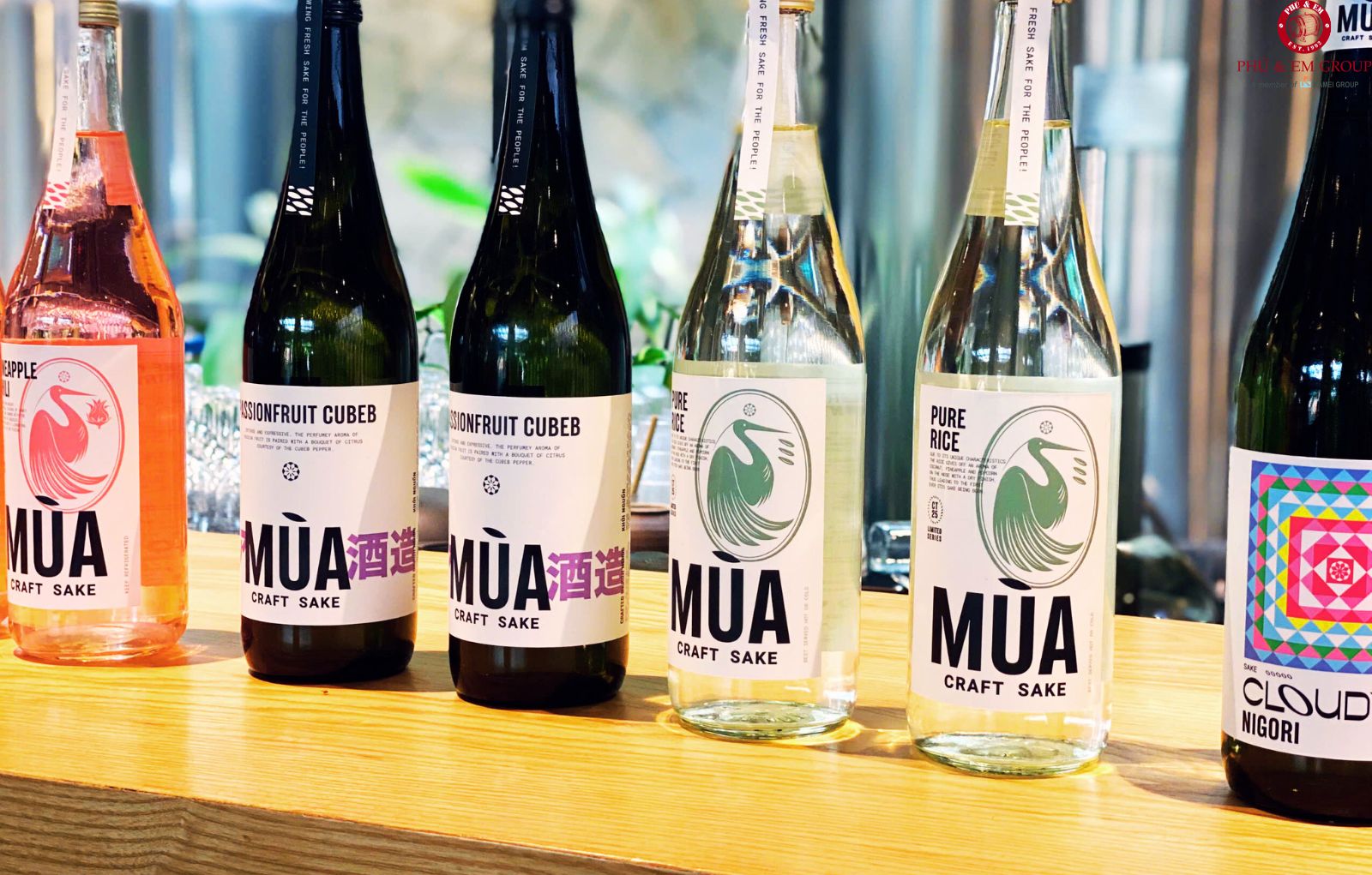 Mùa Craft Sake | Trải Nghiệm Văn Hóa Nhật Bản Tinh Tế