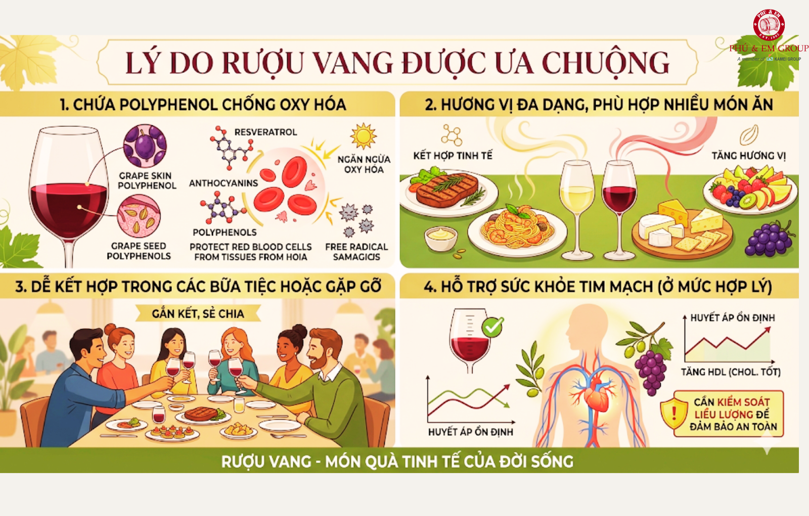 Rượu Vang Là Gì? Hướng Dẫn Cho Người Mới