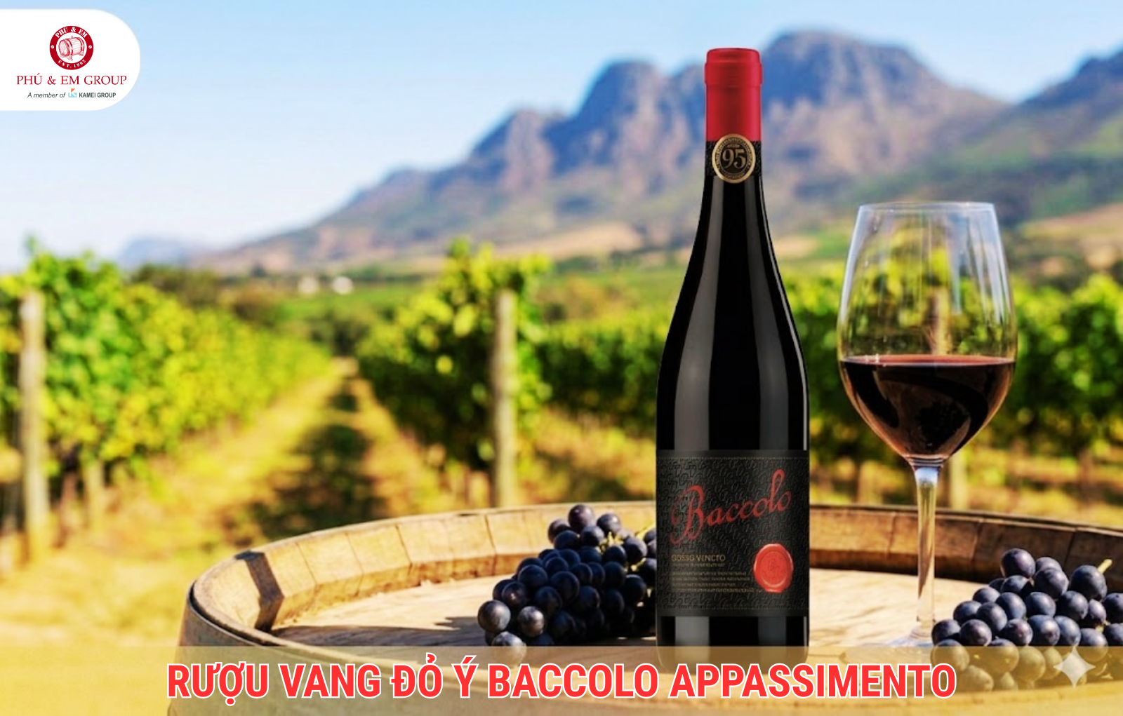 Rượu Vang Đỏ &Yacute; Baccolo Appassimento