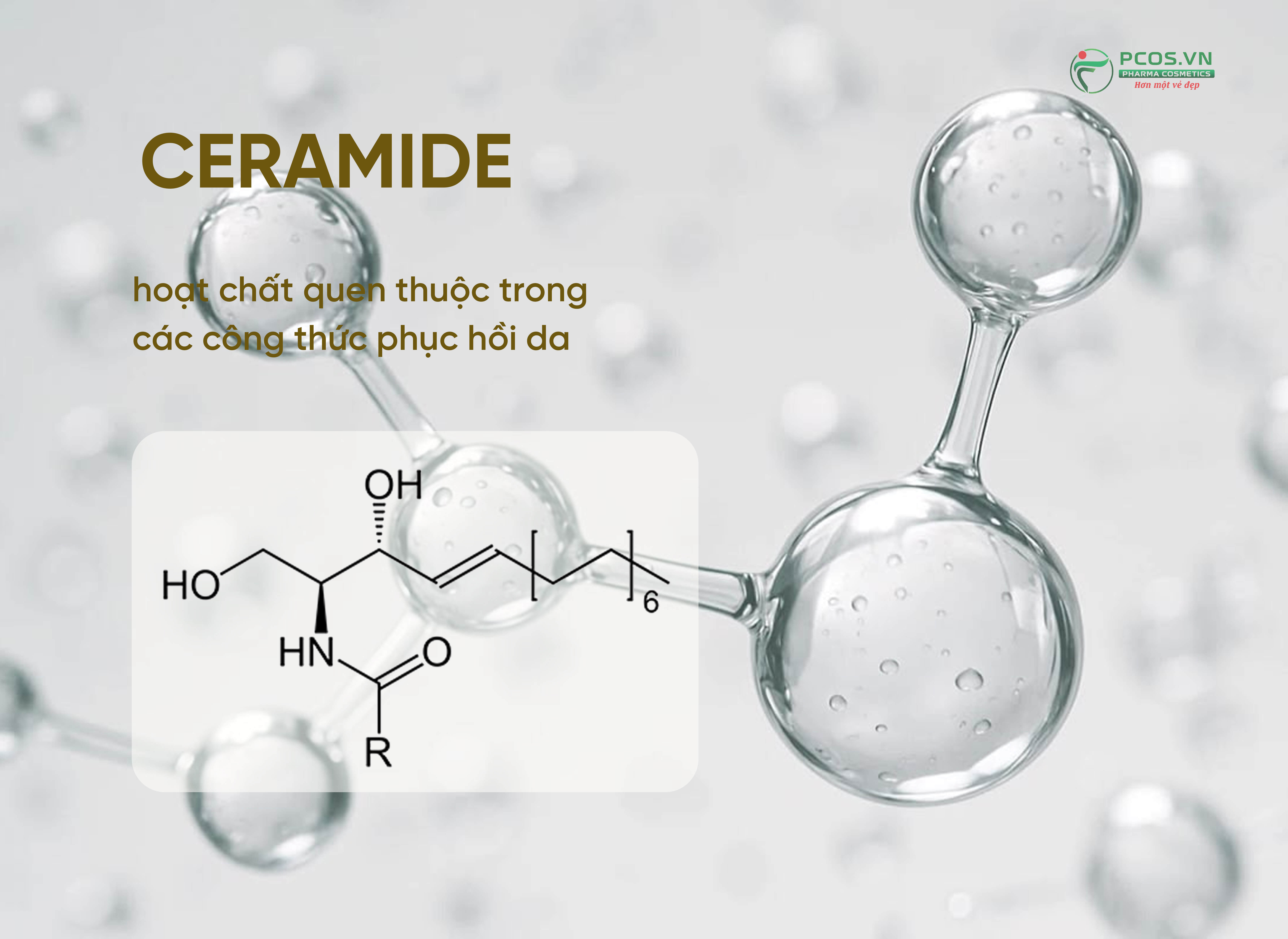CARAMIDE33.jpg