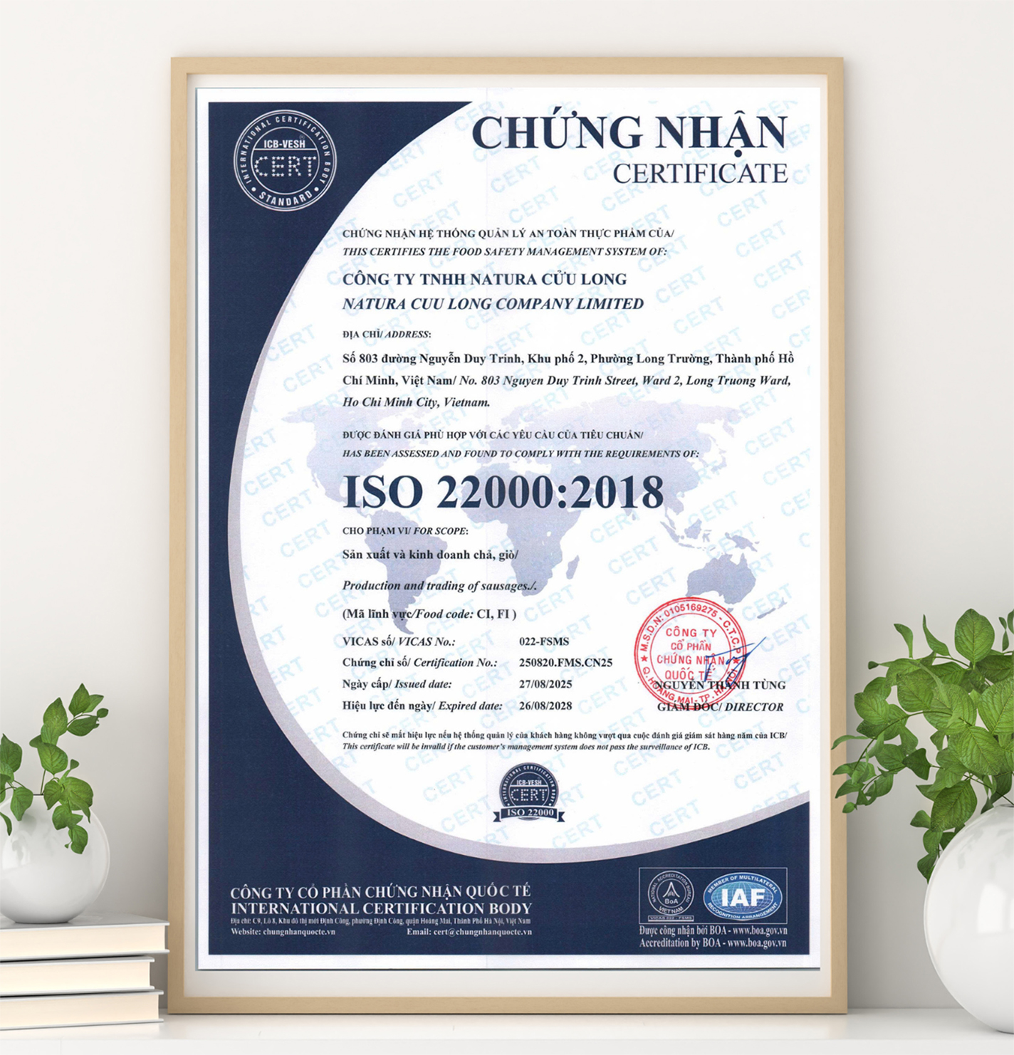 iso - giò- chả-cửu-long.jpg 638931635690468694 20250911 045929 af75f465 a457 4c74 bff3 c2f0cf070abd - Giò Chả Cửu Long